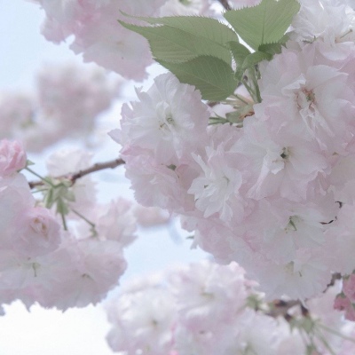 余姚福瑞交流群