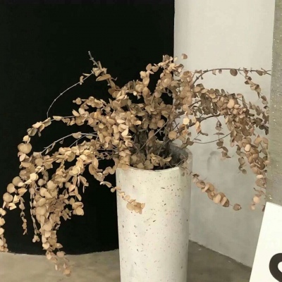 兽设复古风格设计FurryQQ群